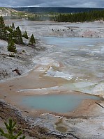 Yellowstone Norris Geyser (130).JPG